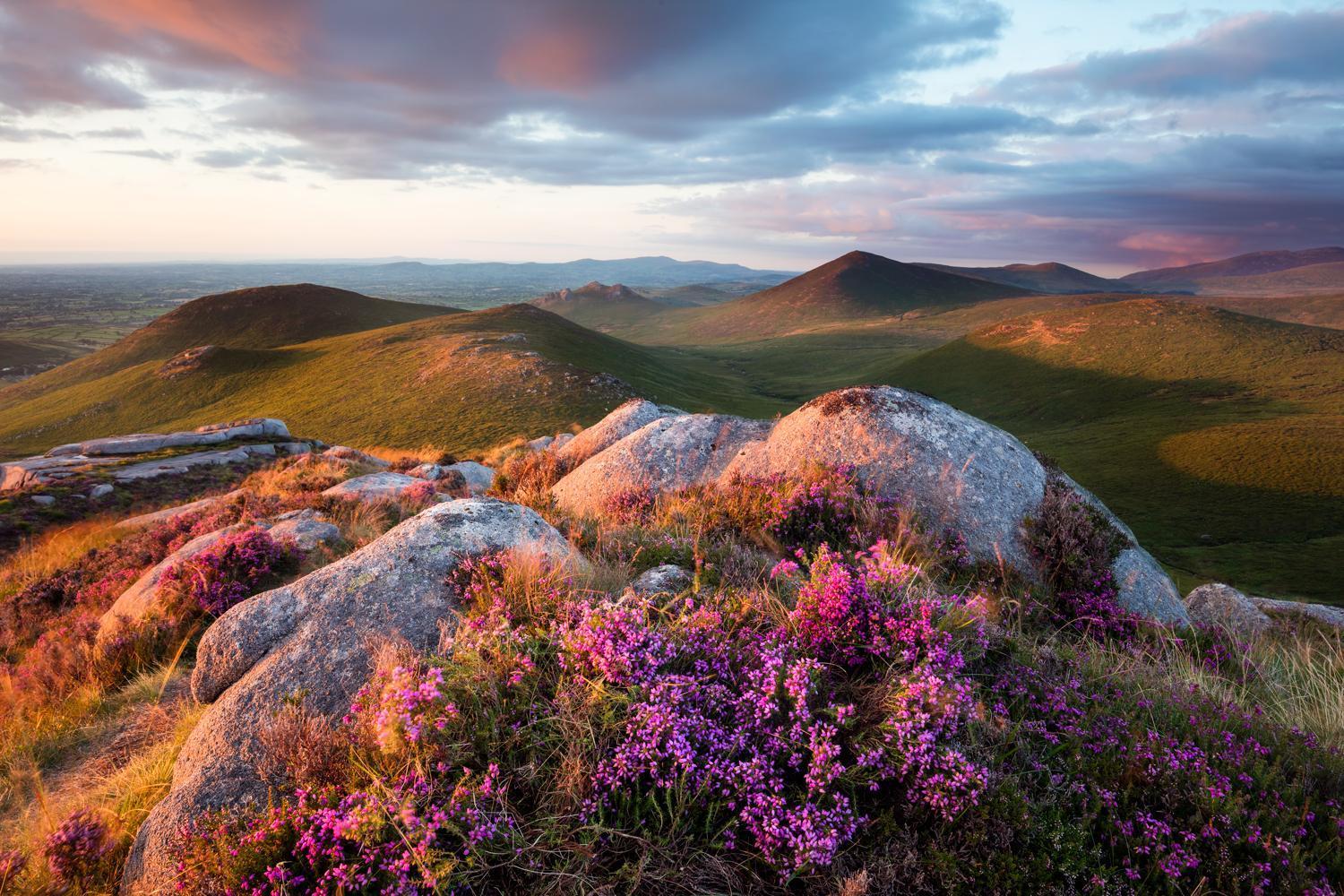 Oakwood Glamping Mourne Mountains Moyad Exterior foto